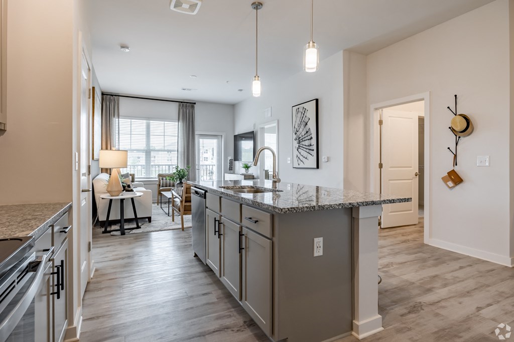 Kitchen And Living Room View at The Corwyn South Point, McDonough