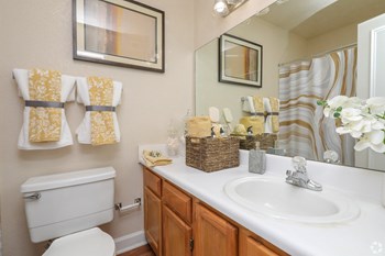 Bright bathroom with oak cabinetry and modern décor Bright bathroom with oak cabinetry and modern décor at The Columns at Lake Ridge - Photo Gallery 5
