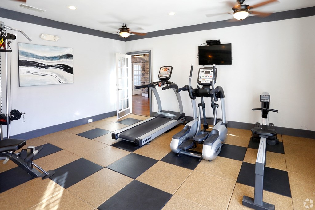 State-of-the-art fitness center with cardio equipment and TV at The Columns at Pilgrim Mill, Georgia