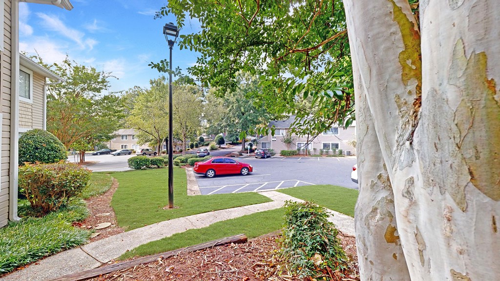 a red car parked in a parking lot next to a tree