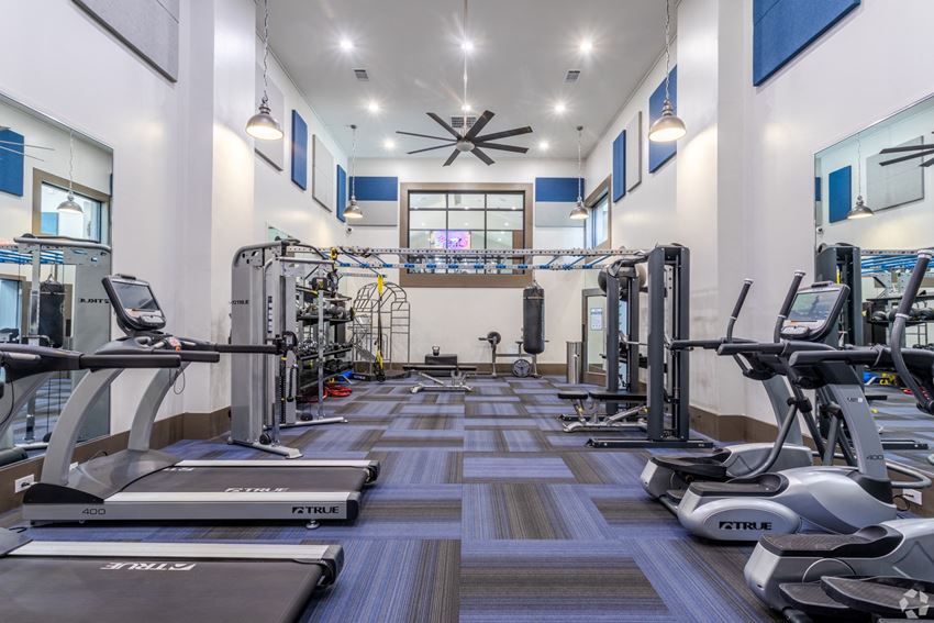 State-of-the-art fitness center with cardio machines, strength training and free weights at The Columns at Vinings, 1900 Tamarron Parkway SE, Atlanta, Georgia 30339 - Photo Gallery 1