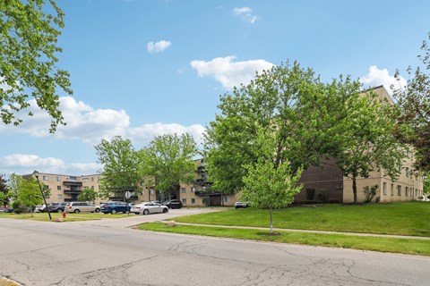 A tree with green leaves stands in front of a building.