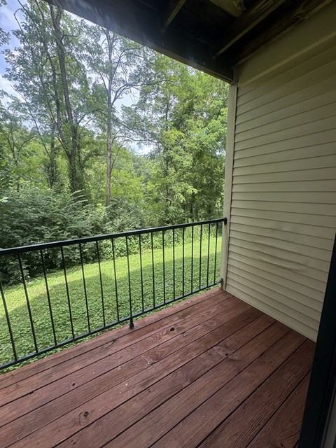 A deck with a black railing and a view of a green lawn and trees.