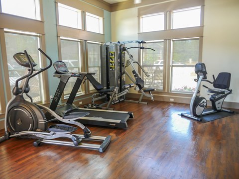 A gym with a row of treadmills and elliptical machines.