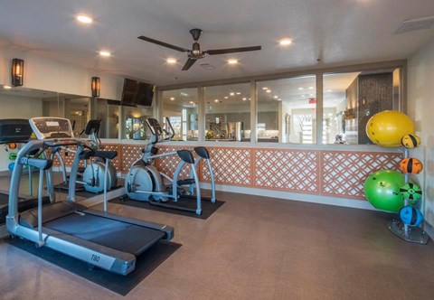 A gym with treadmills, exercise bikes, and a fan.