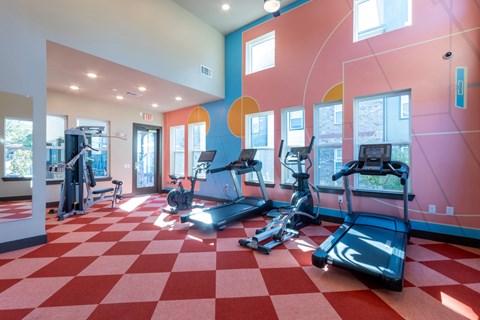 A gym with treadmills and exercise equipment.