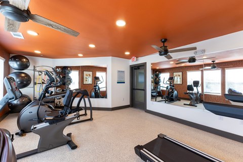 A gym with a treadmill, exercise bike, and mirrors.