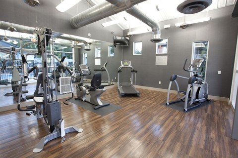 A gym with a variety of exercise equipment including treadmills, stationary bikes, and weight machines.