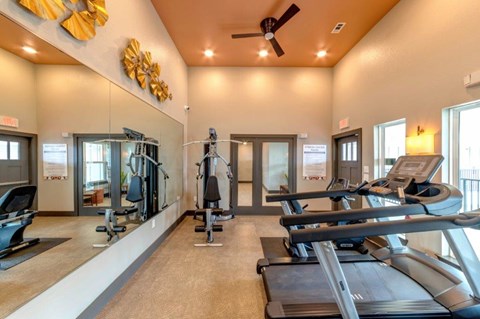 A gym with treadmills, elliptical machines, and weights.