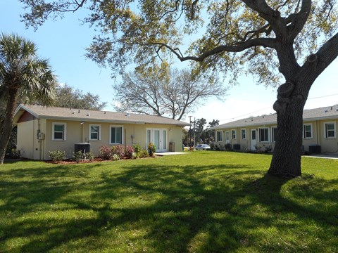 A tree stands in a grassy area in front of a building.
