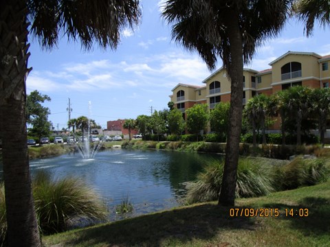 A fountain in the middle of a lake surrounded by trees.