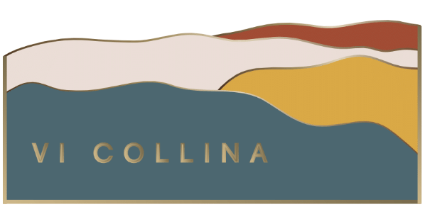 A graphic with the name "VI COLLINA" on it.