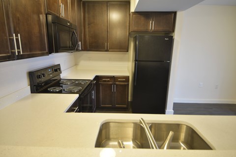 A kitchen with a black refrigerator and stove.