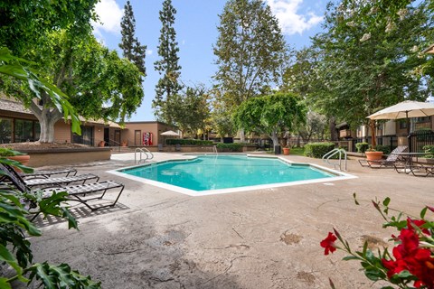 the swimming pool at our apartments