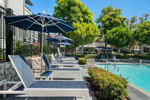 a pool with lounge chairs and umbrellas next to a pool