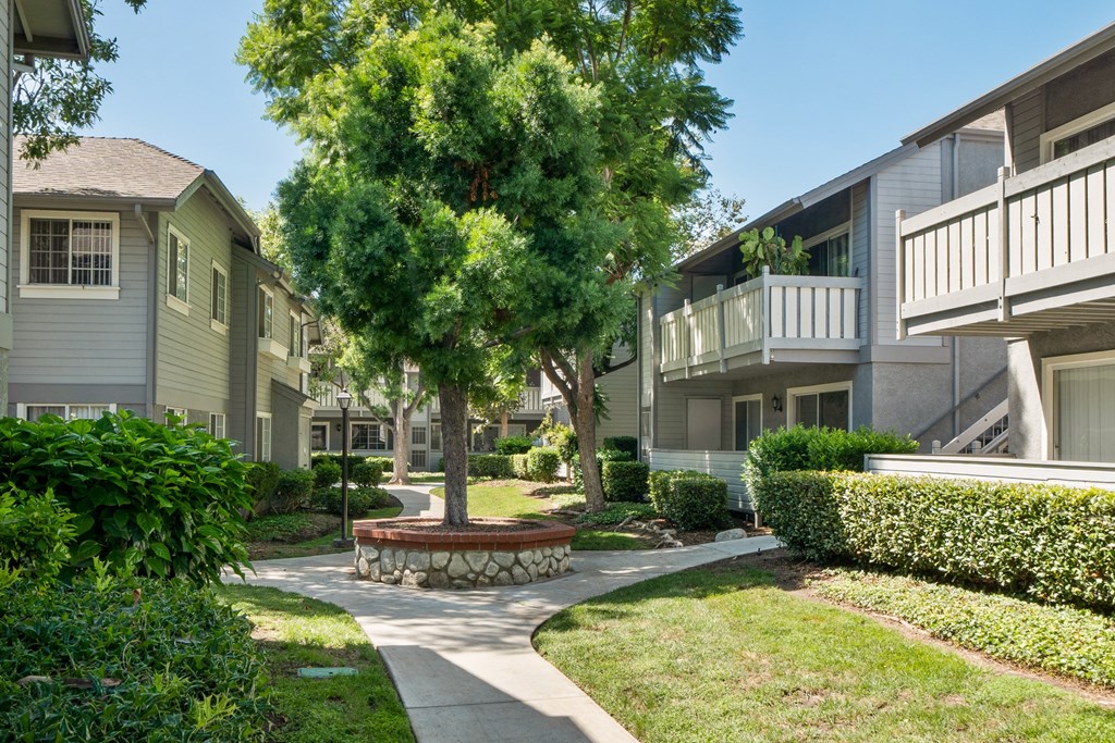 the preserve at ballantyne commons courtyard with trees and apartment buildings