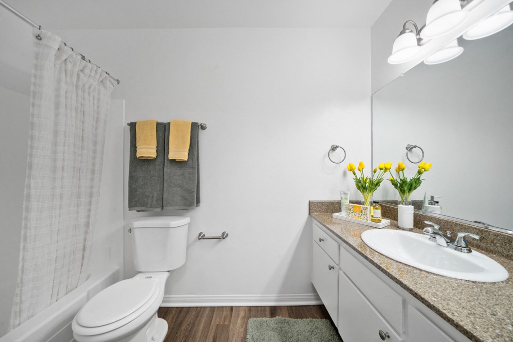 our apartments offer a bathroom with a shower