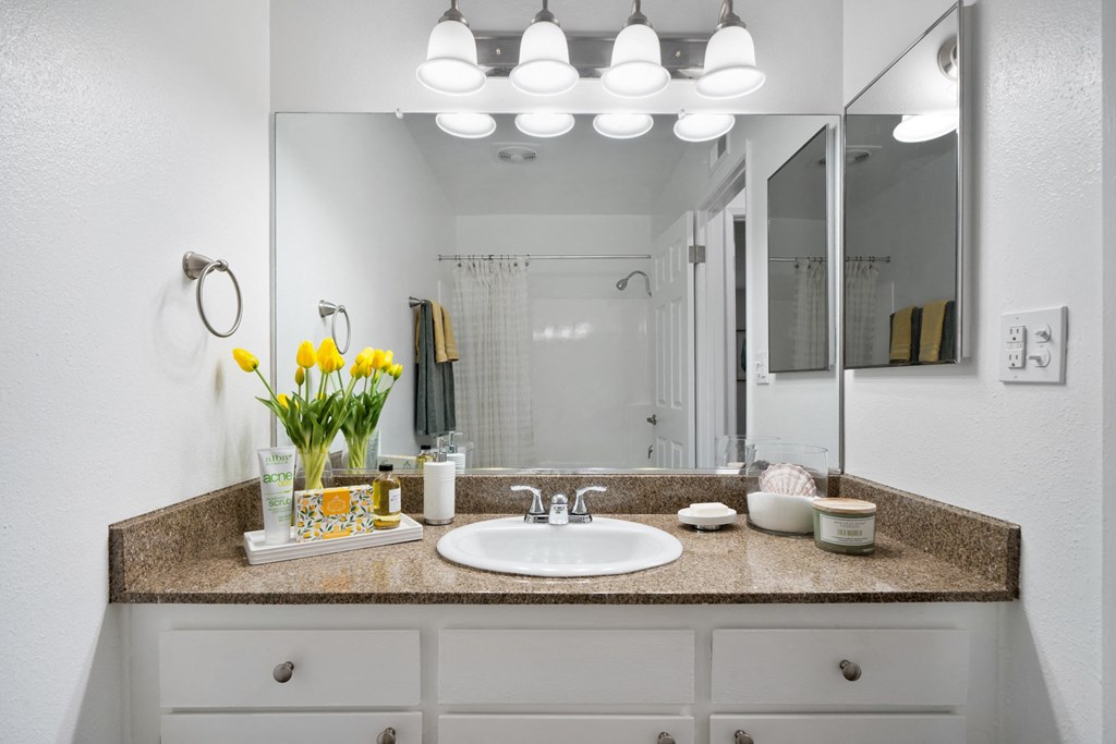 a bathroom with a sink and a mirror