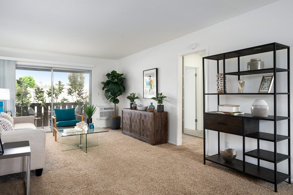 a living room with white walls and a brown carpet