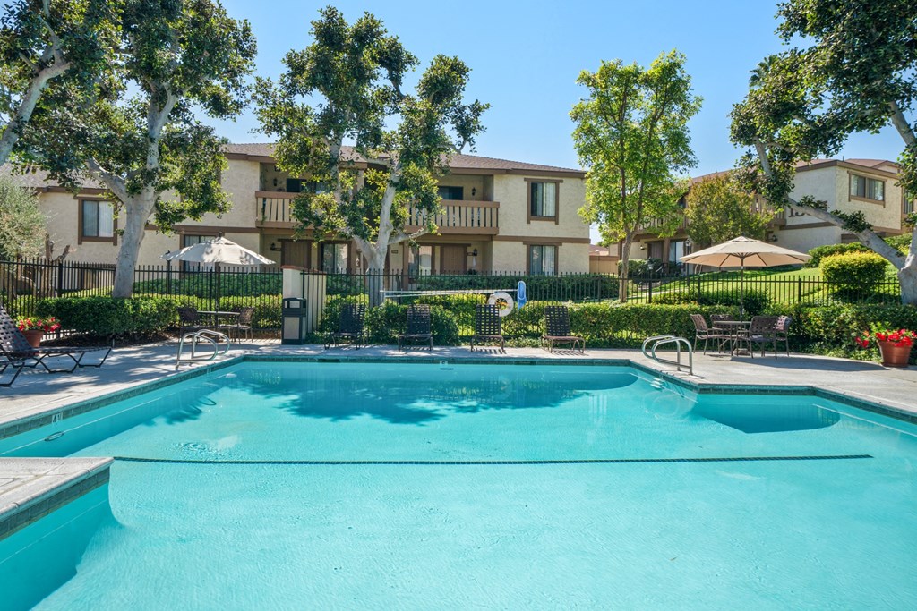 the swimming pool at the falls at rolland park apartments tx
