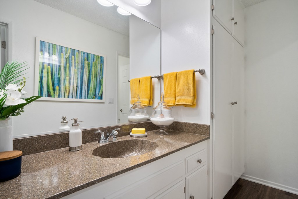 a bathroom with a sink and a mirror
