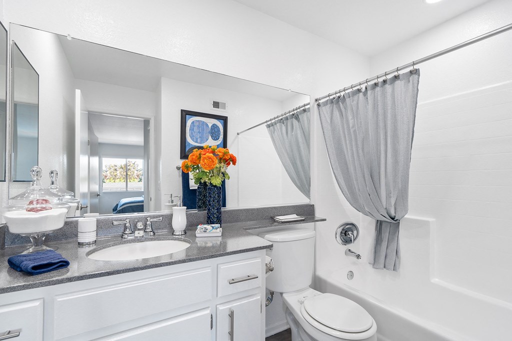 a bathroom with a sink and a toilet and a mirror