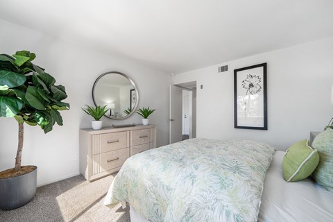 a bedroom with a bed and a mirror and a plant