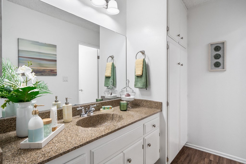 a bathroom with a sink and a mirror