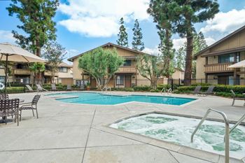 our apartments have a swimming pool and a patio with chairs