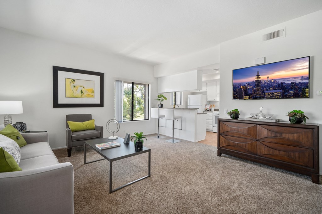 our apartments offer a living room with a fireplace