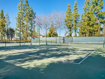 a tennis court with a fence and trees in the background