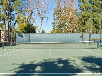a tennis court with trees in the background on a sunny day