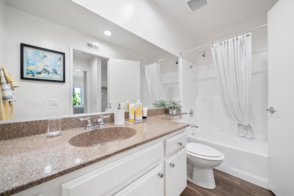 a bathroom with a sink and a toilet