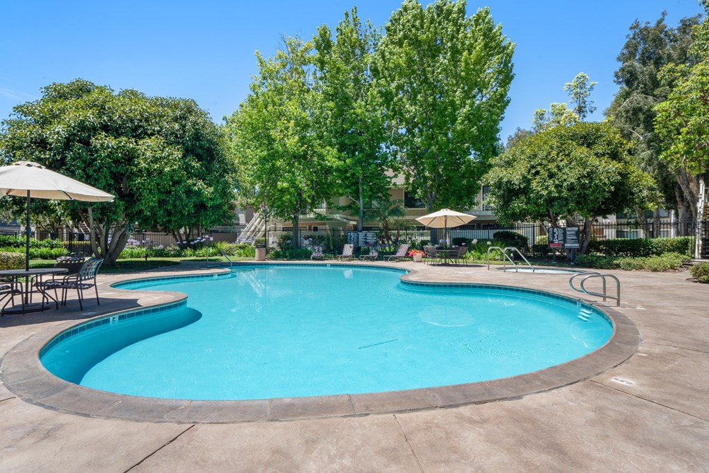 a swimming pool with chairs and umbrellas and trees