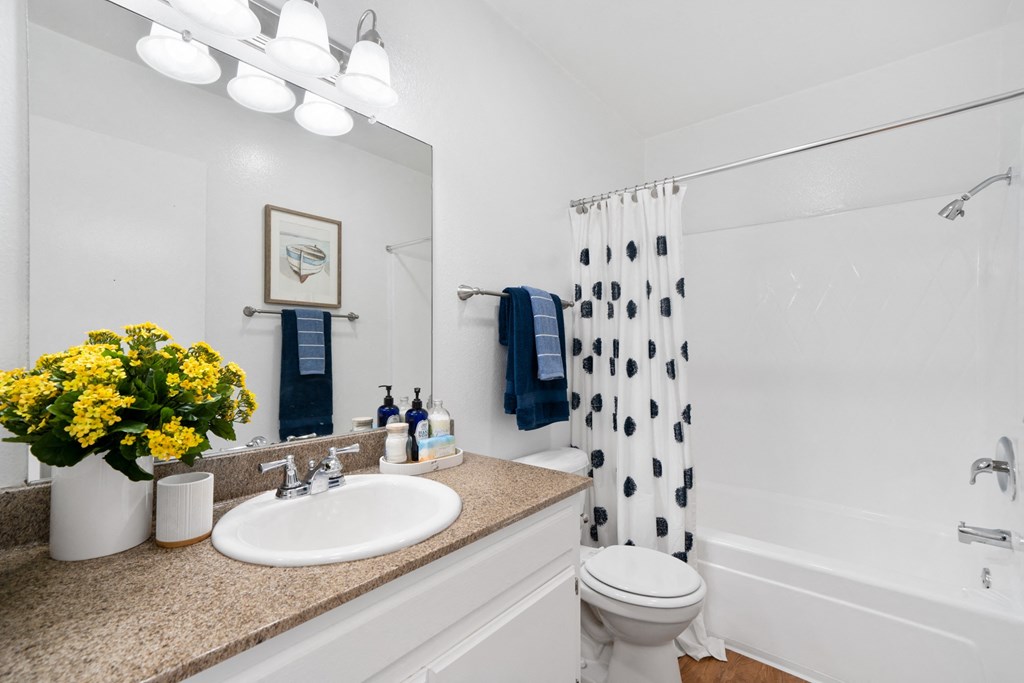 a bathroom with a sink and a toilet and a shower