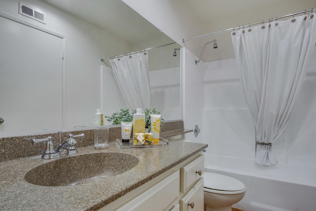 a bathroom with a sink and a toilet and a shower