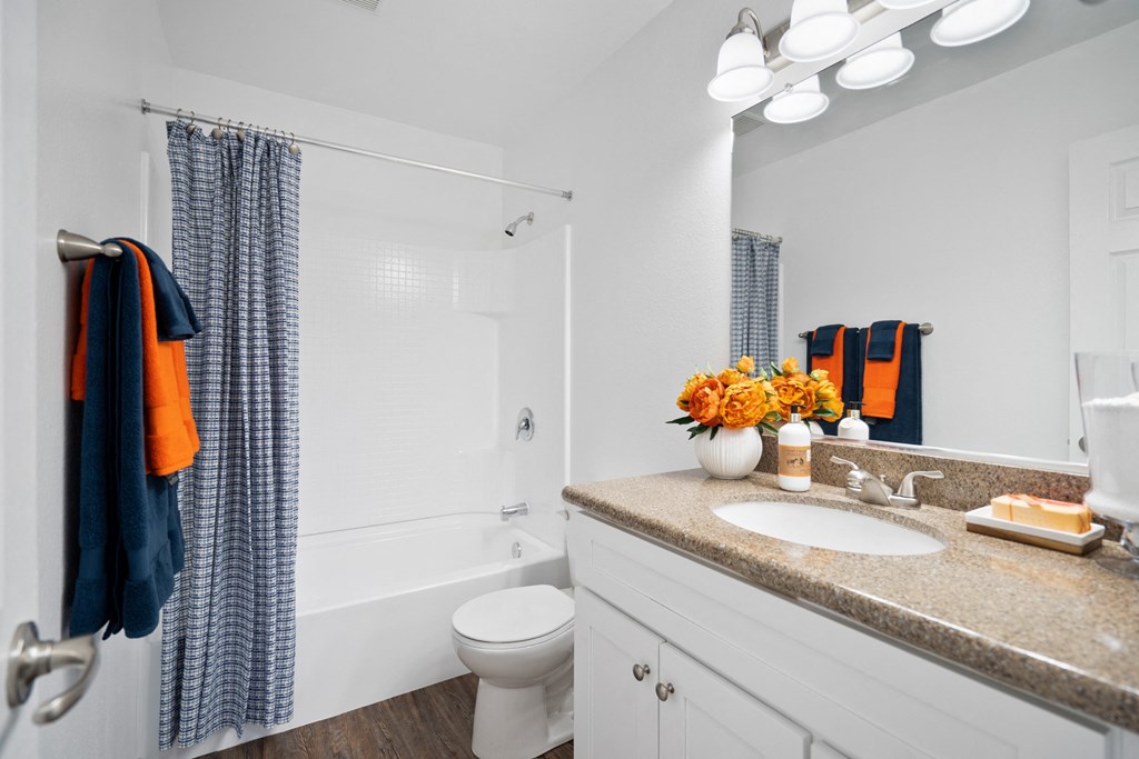 a bathroom with a sink and a toilet and a shower