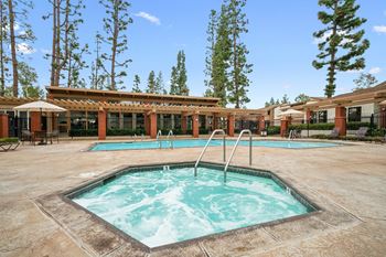 our resort style hot tub is next to our hotel building with trees