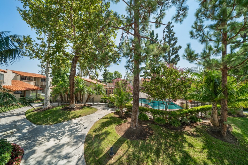 a backyard with trees and a swimming pool