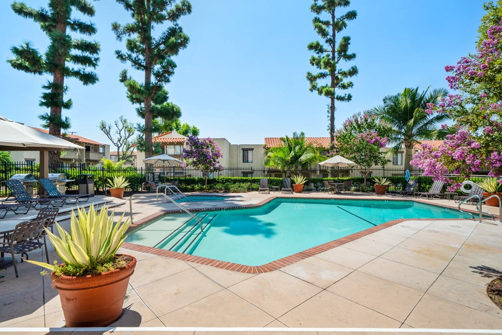 a swimming pool with chairs and plants near a resort style pool