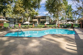 Professional Maintained Pool & Spa