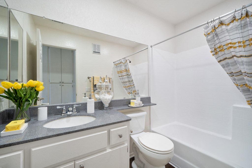 a bathroom with a sink and a toilet and a shower