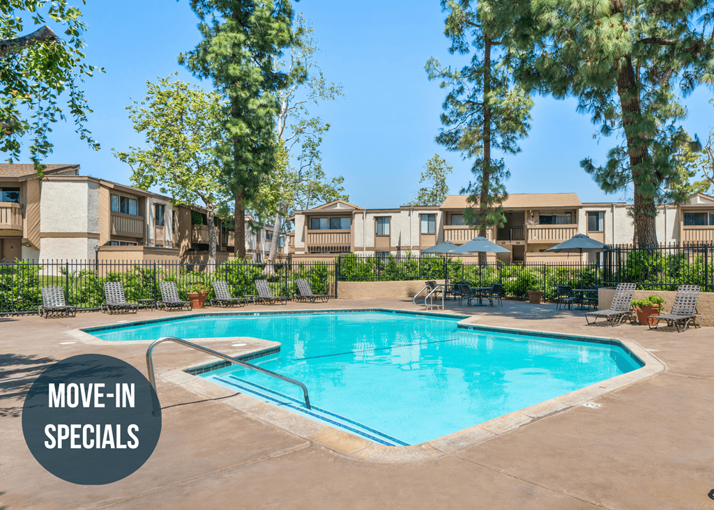 our apartments have a resort style swimming pool