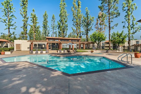 the swimming pool at our apartments