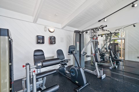 a gym with weights and cardio equipment in a white room