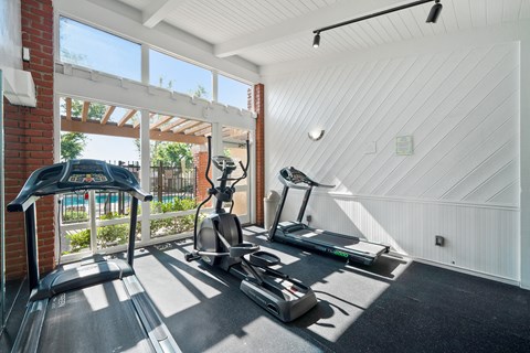 the gym at 1861 muleshoe road