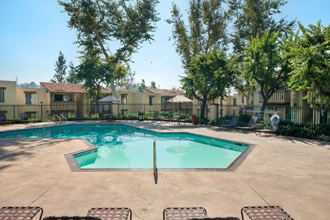 our apartments have a resort style pool with chairs and trees