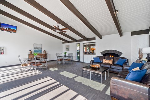 a living room with couches and chairs and a fireplace