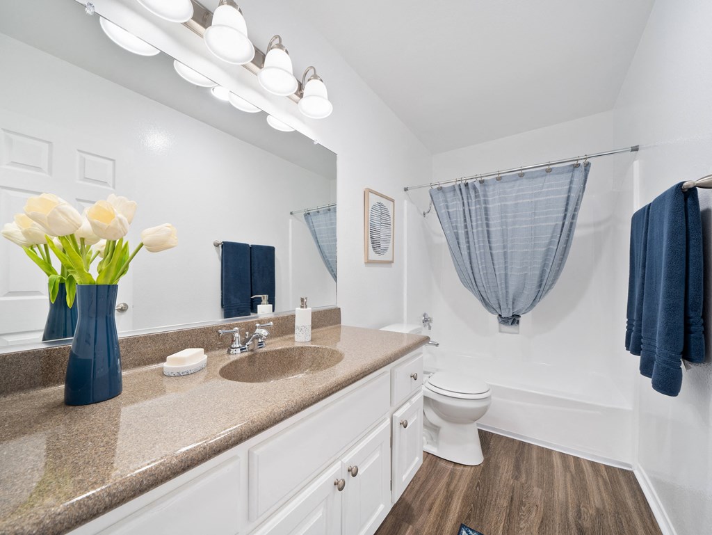 a bathroom with a sink and a toilet