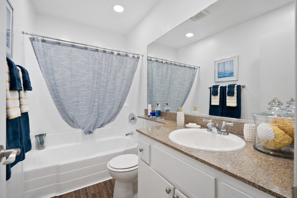 a bathroom with a sink and a toilet and a tub